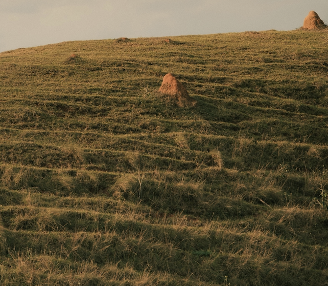  yellow mountain landscape